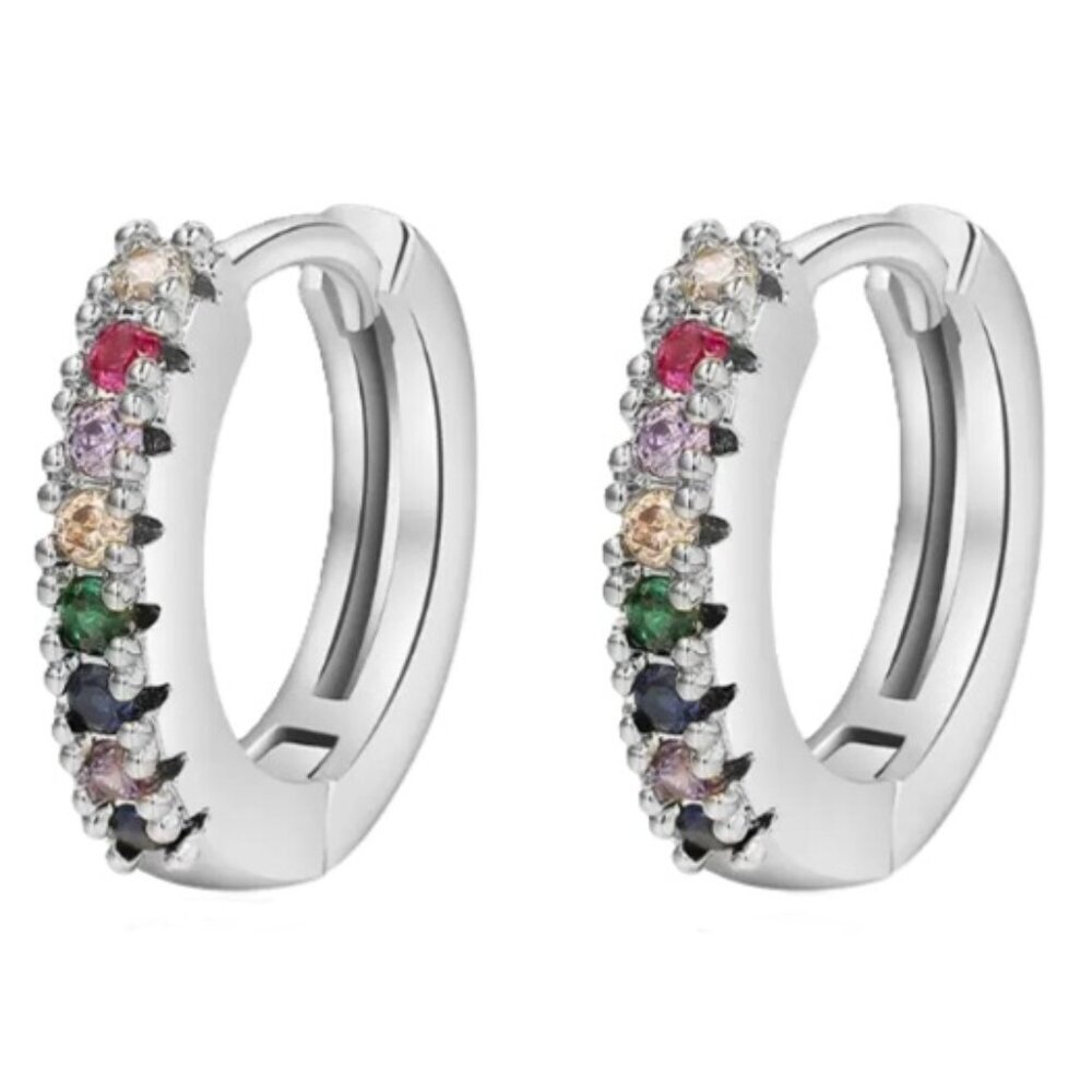 Lymphatic Germanium Magnetology Drainage Silver Electro-Plated Hoop Earrings